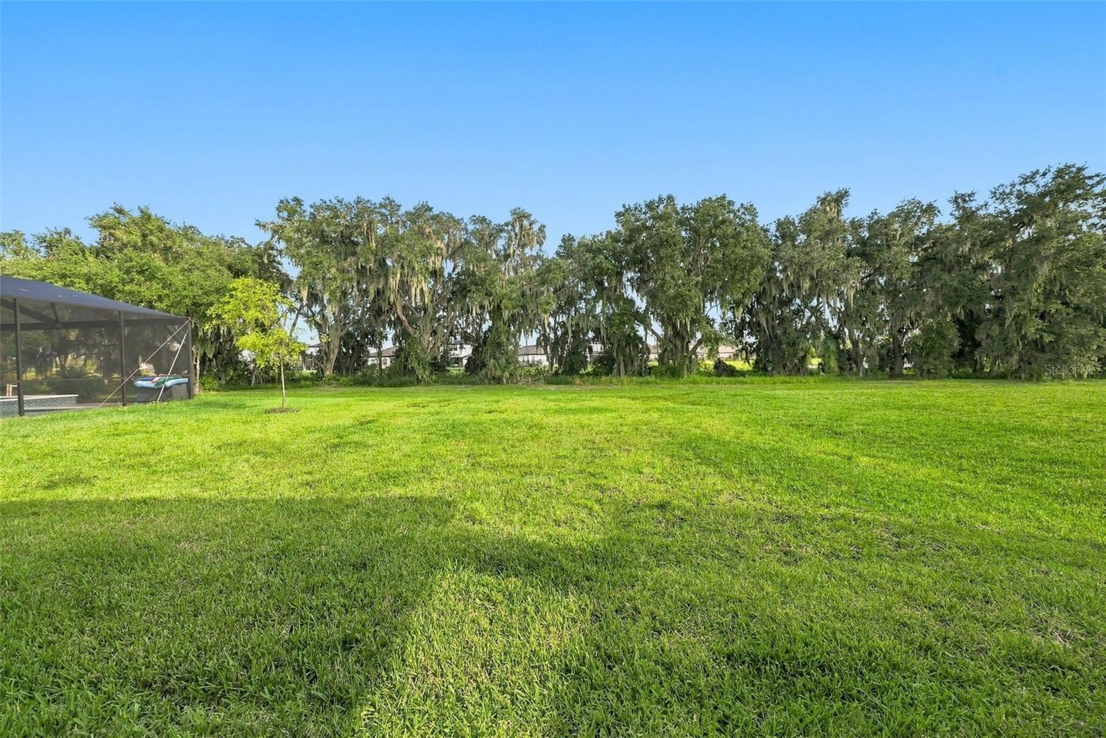 14733 GALLOP RUN DR — photo 21
