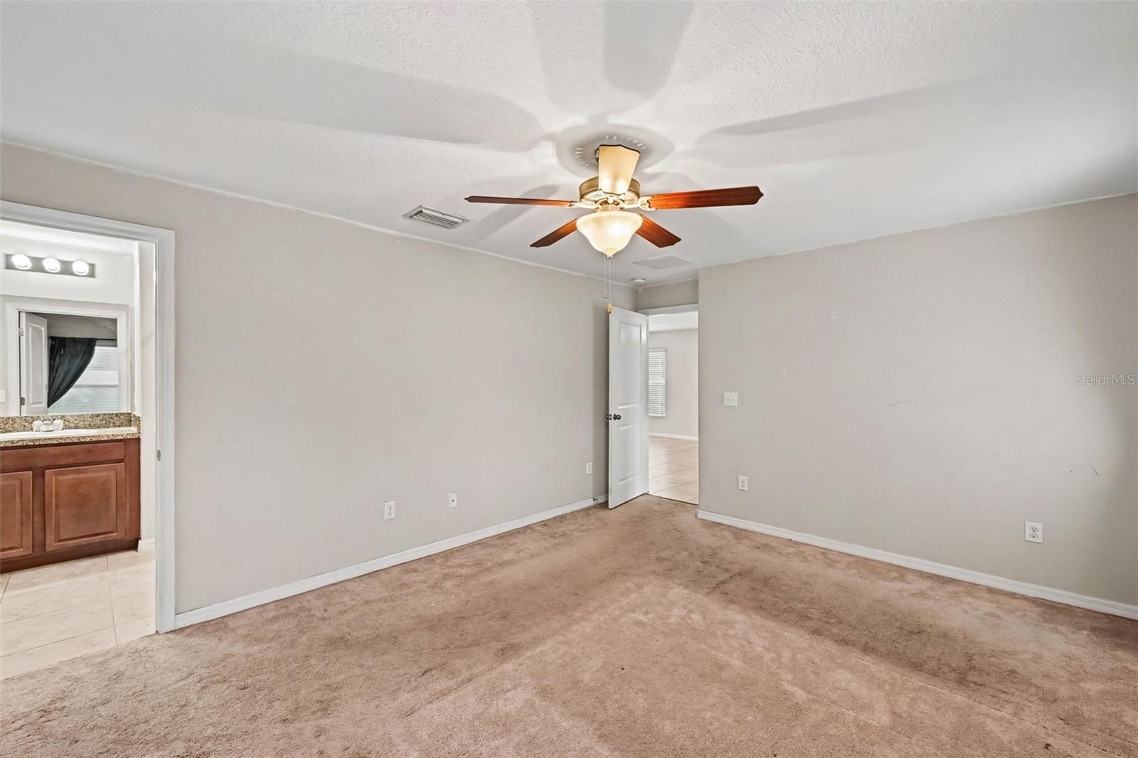 1501 CLIMBING DAYFLOWER DR — photo 16