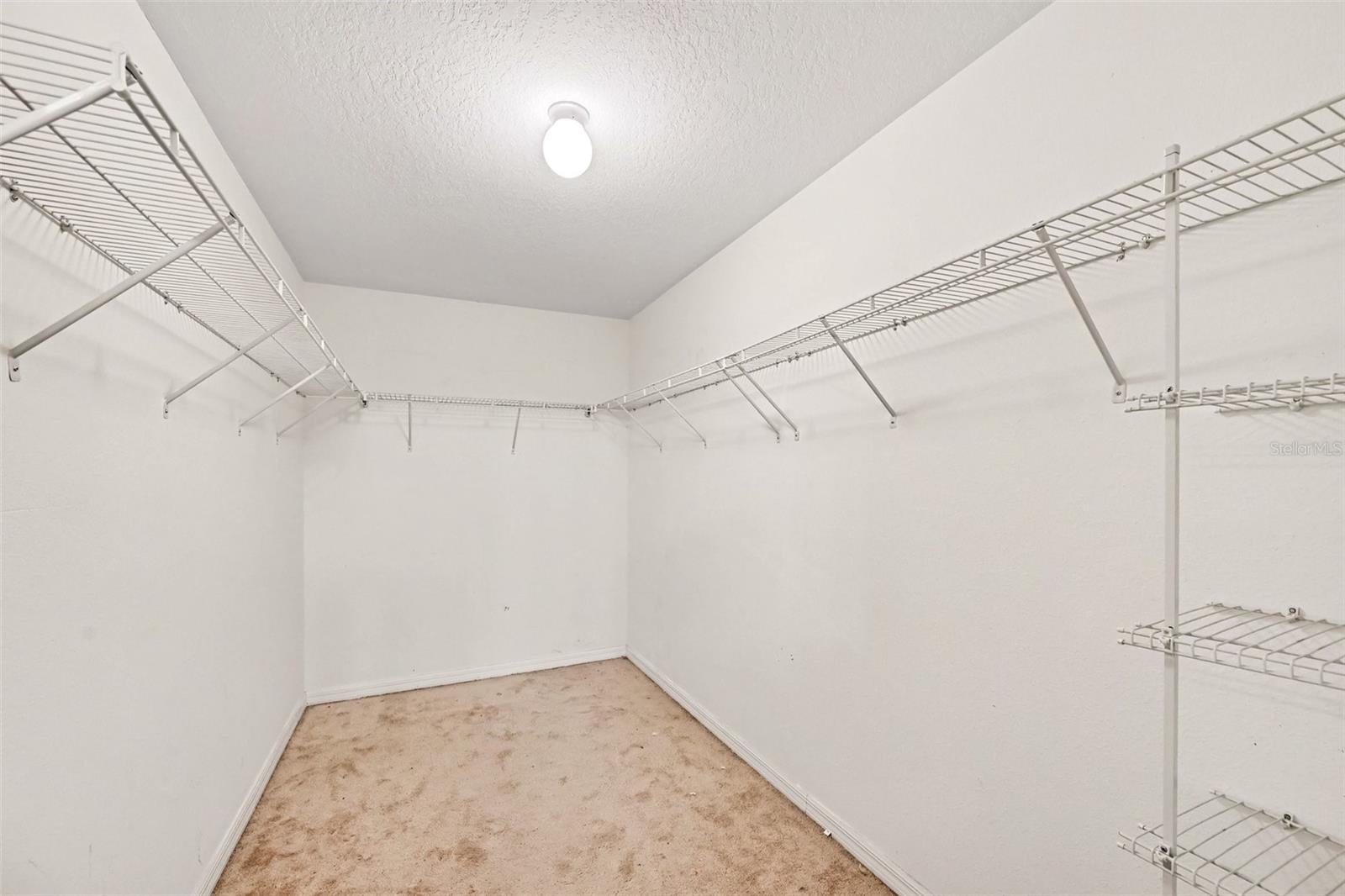 1501 CLIMBING DAYFLOWER DR — photo 19