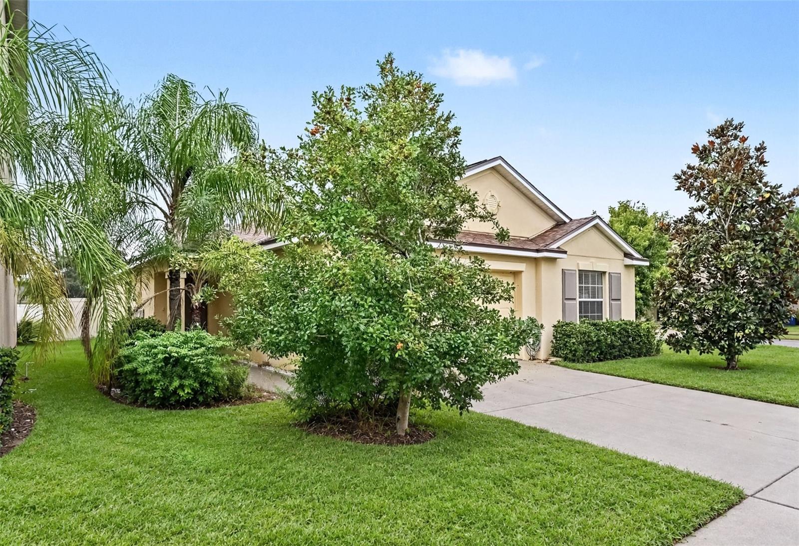 1501 CLIMBING DAYFLOWER DR — photo 3