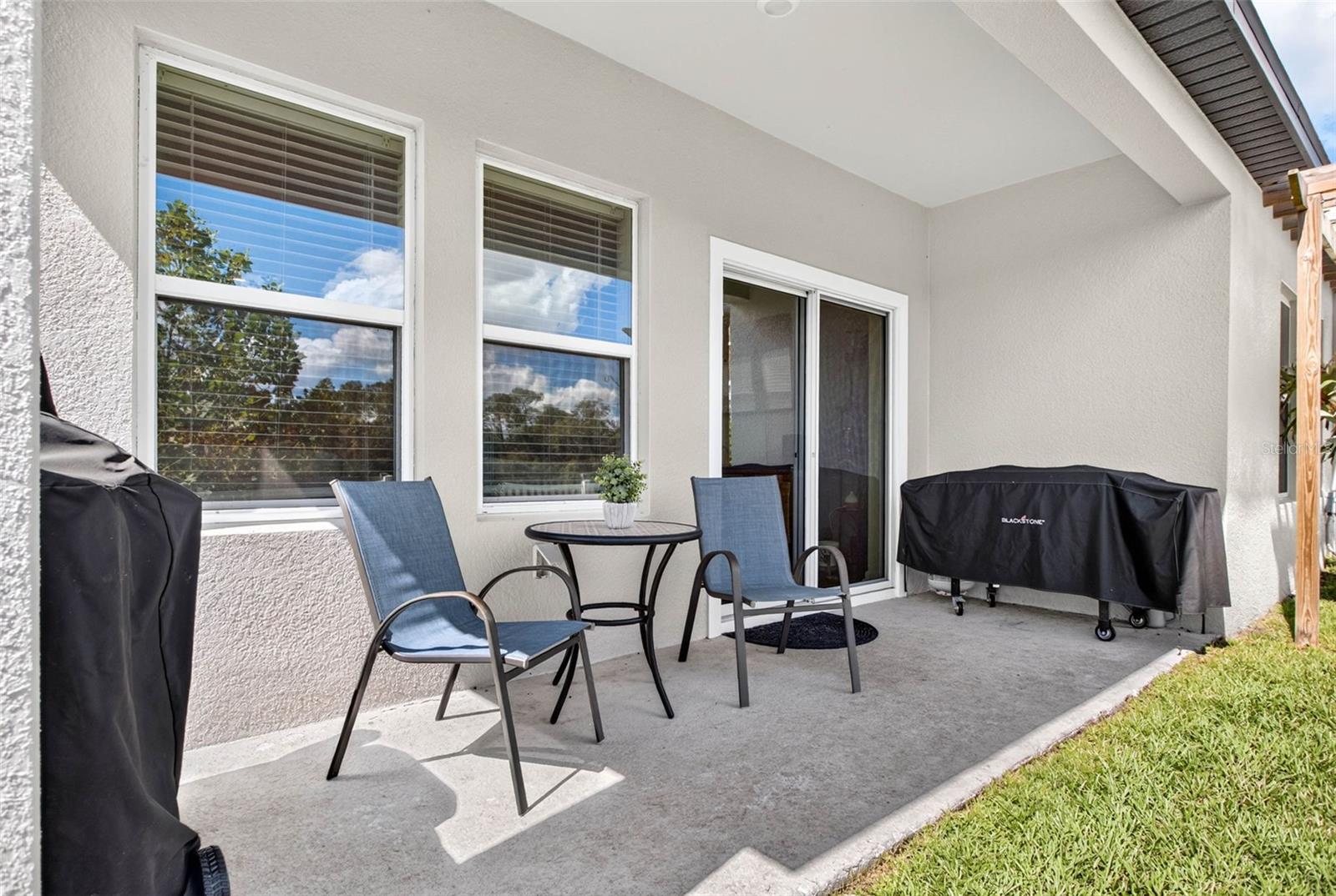 35683 BUTTONWEED TRL — photo 38