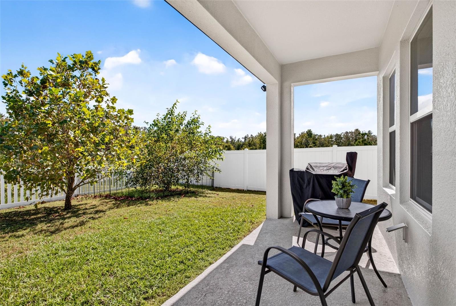 35683 BUTTONWEED TRL — photo 37