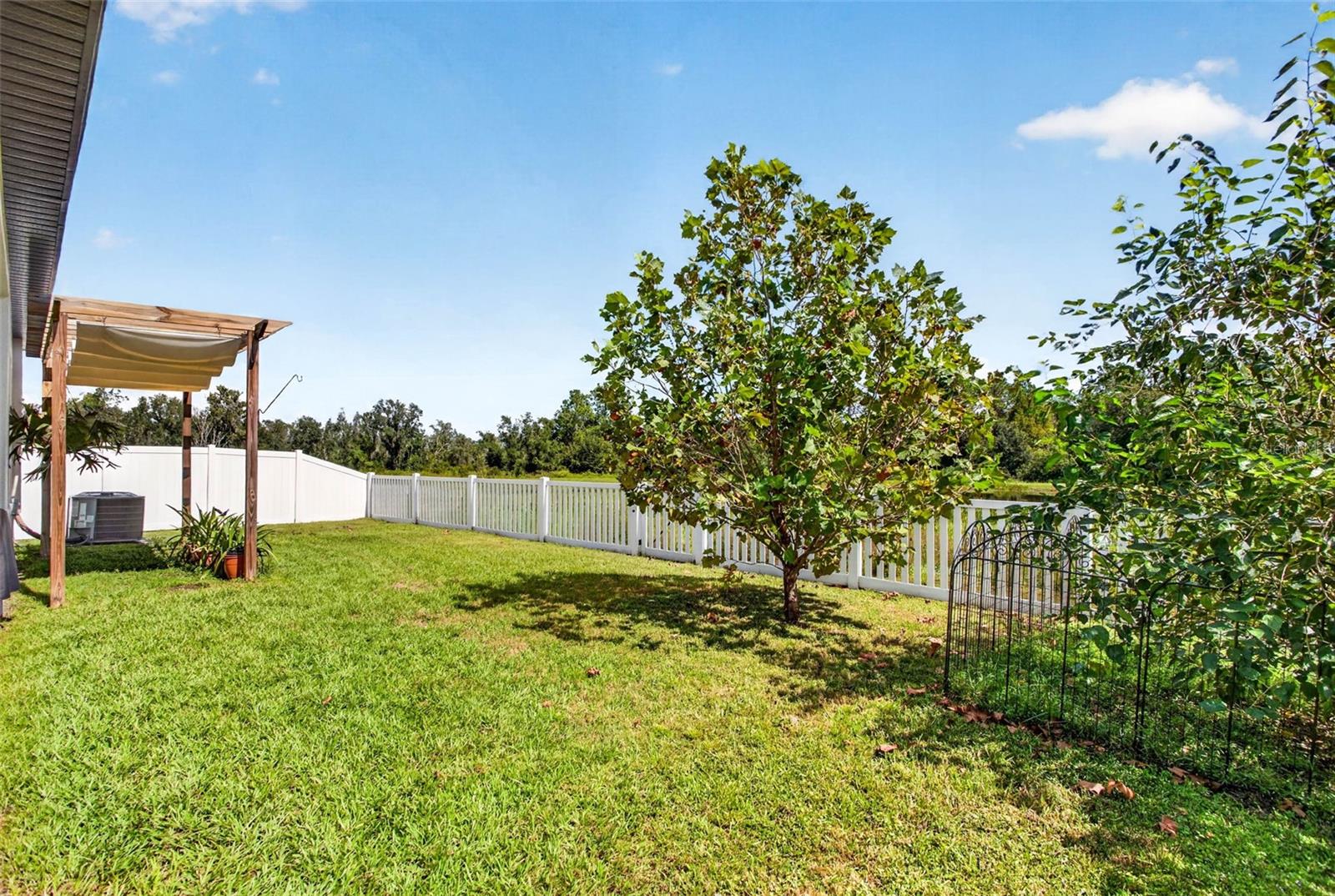 35683 BUTTONWEED TRL — photo 39