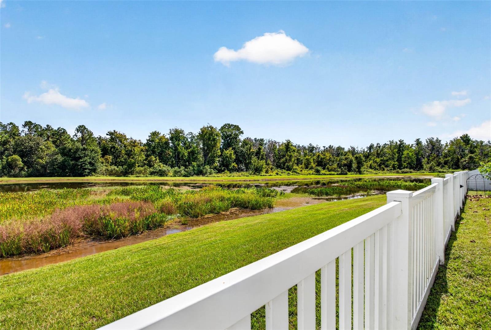35683 BUTTONWEED TRL — photo 41