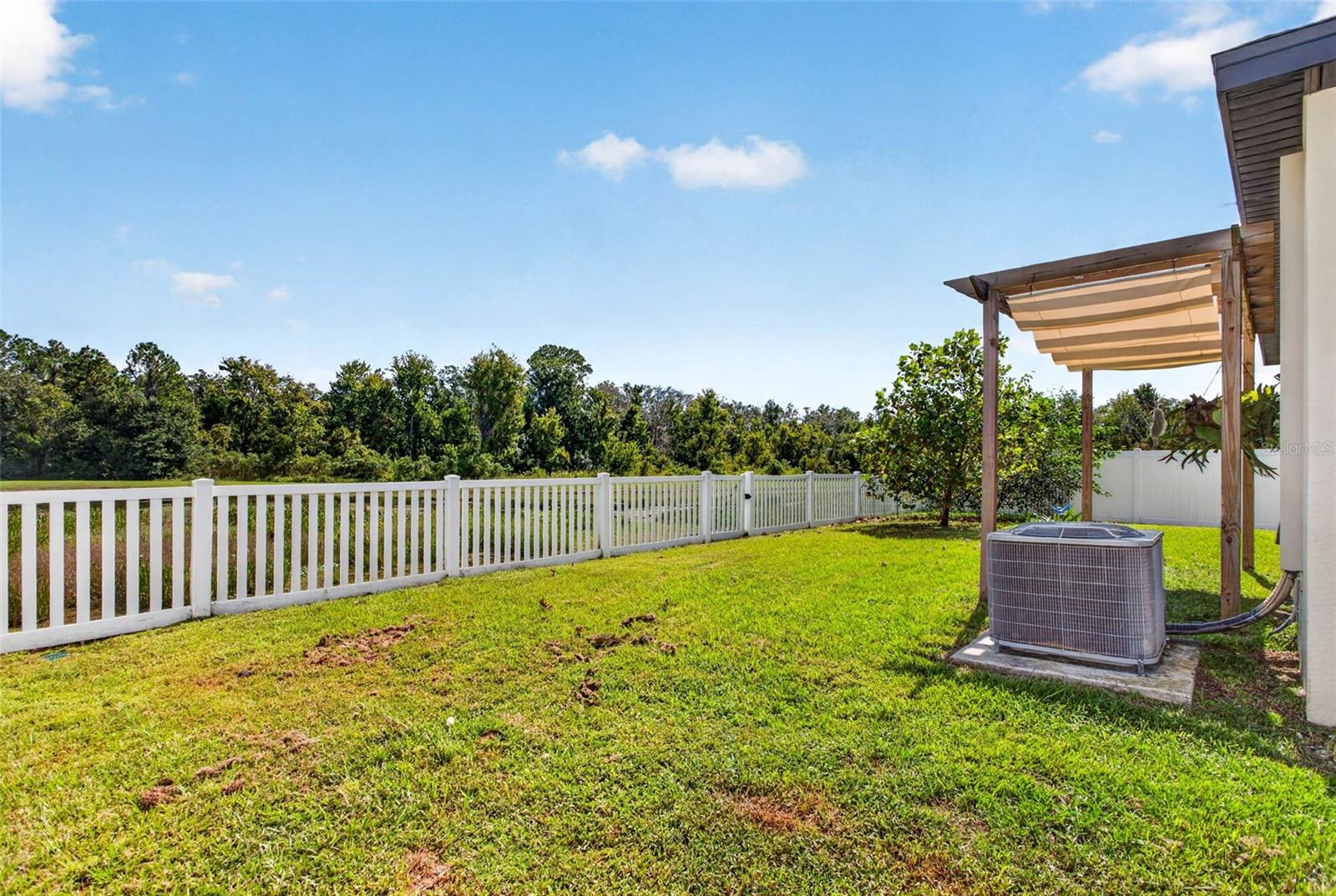 35683 BUTTONWEED TRL — photo 40