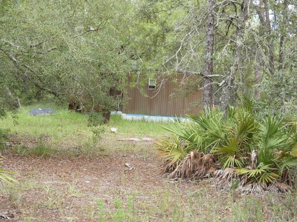 12122 SEIFFERT RD — photo 6