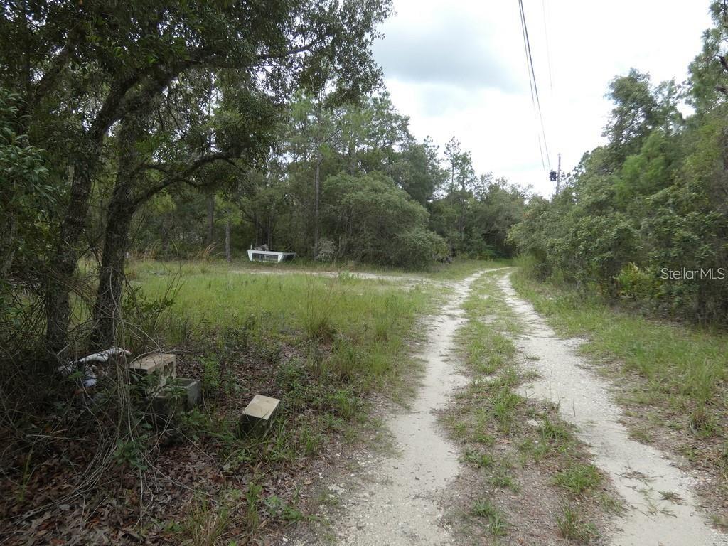 12122 SEIFFERT RD — photo 5