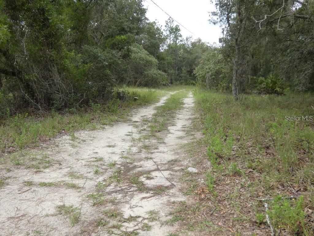 12122 SEIFFERT RD — photo 4