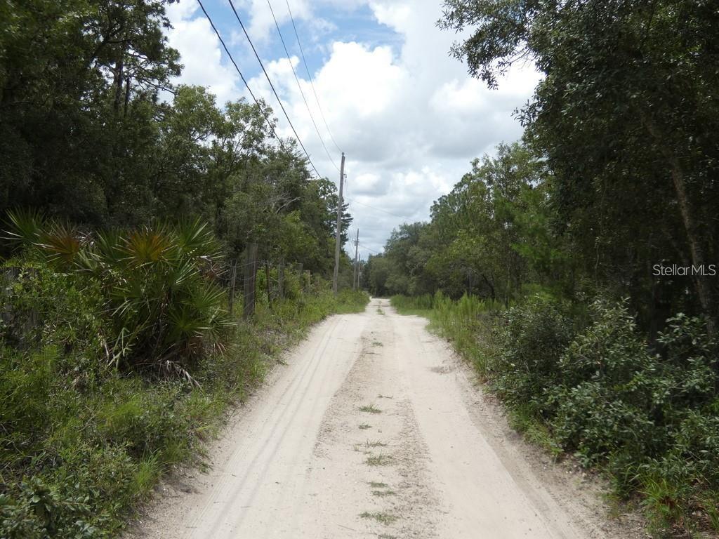 12122 SEIFFERT RD — photo 7