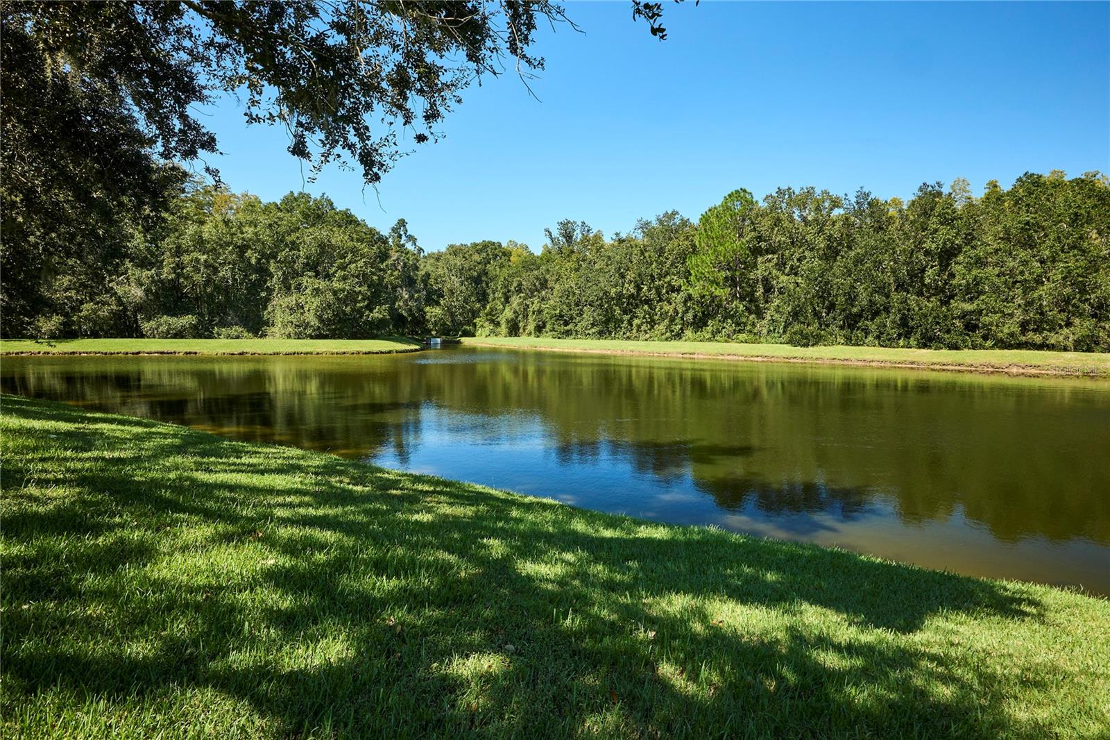 18016 ROYAL FOREST DR — photo 62