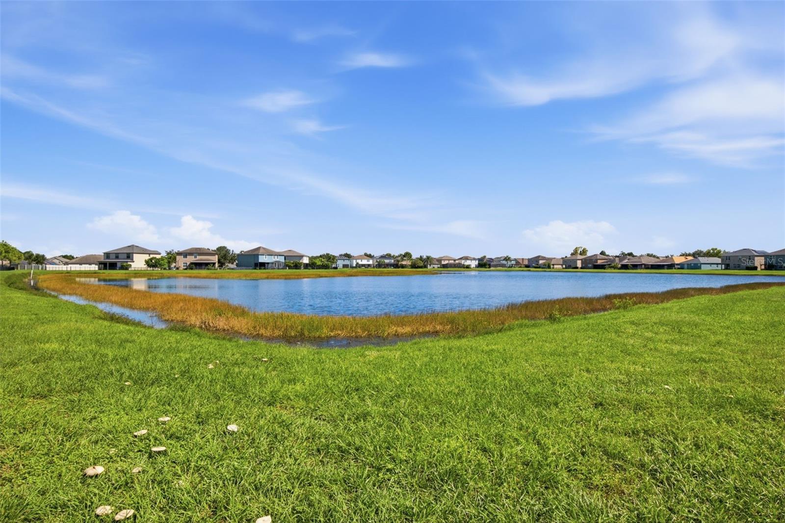 10328 CELTIC ASH DR — photo 33
