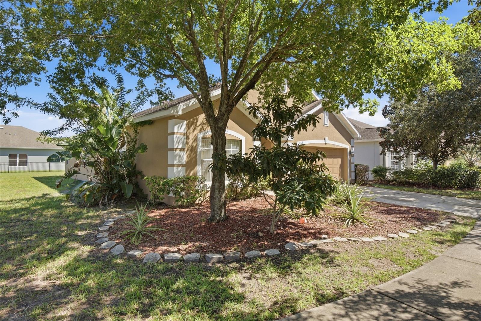 10328 CELTIC ASH DR — photo 3