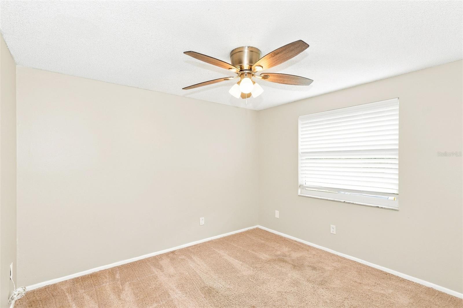 10102 HICKORY HOLLOW CT — photo 12