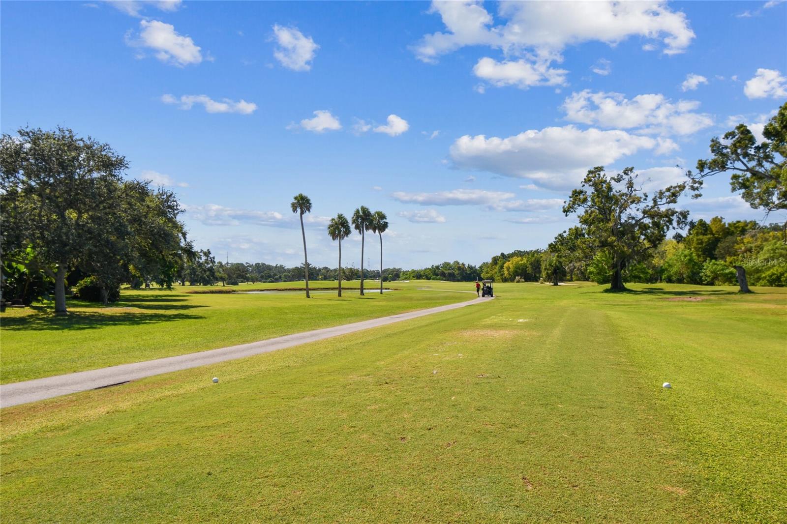 1200 COUNTRY CLUB DR #3202 — photo 32