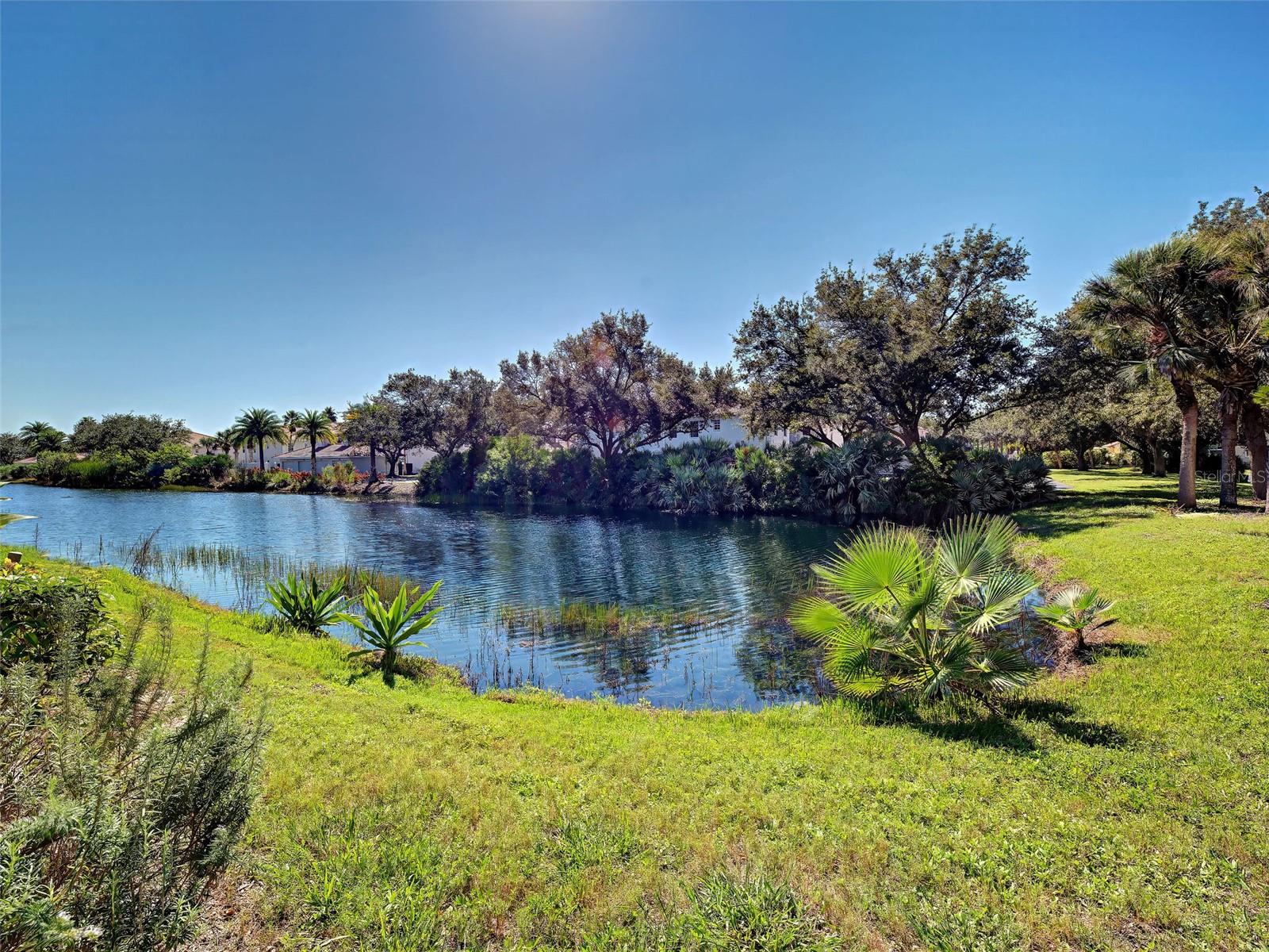 251 VISTA DEL LAGO WAY — photo 37
