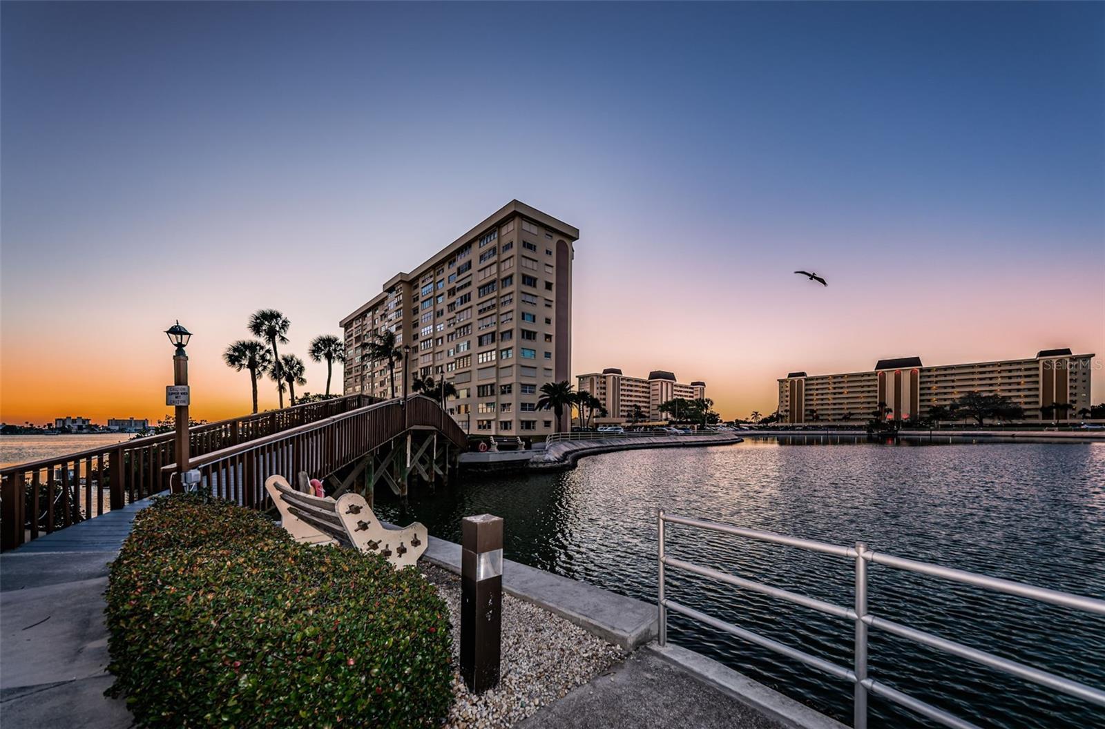 4575 COVE CIR #709 — photo 49