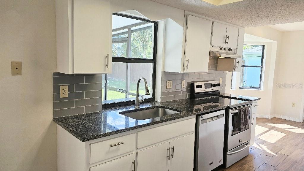 3009 NANSEN LN — photo 6