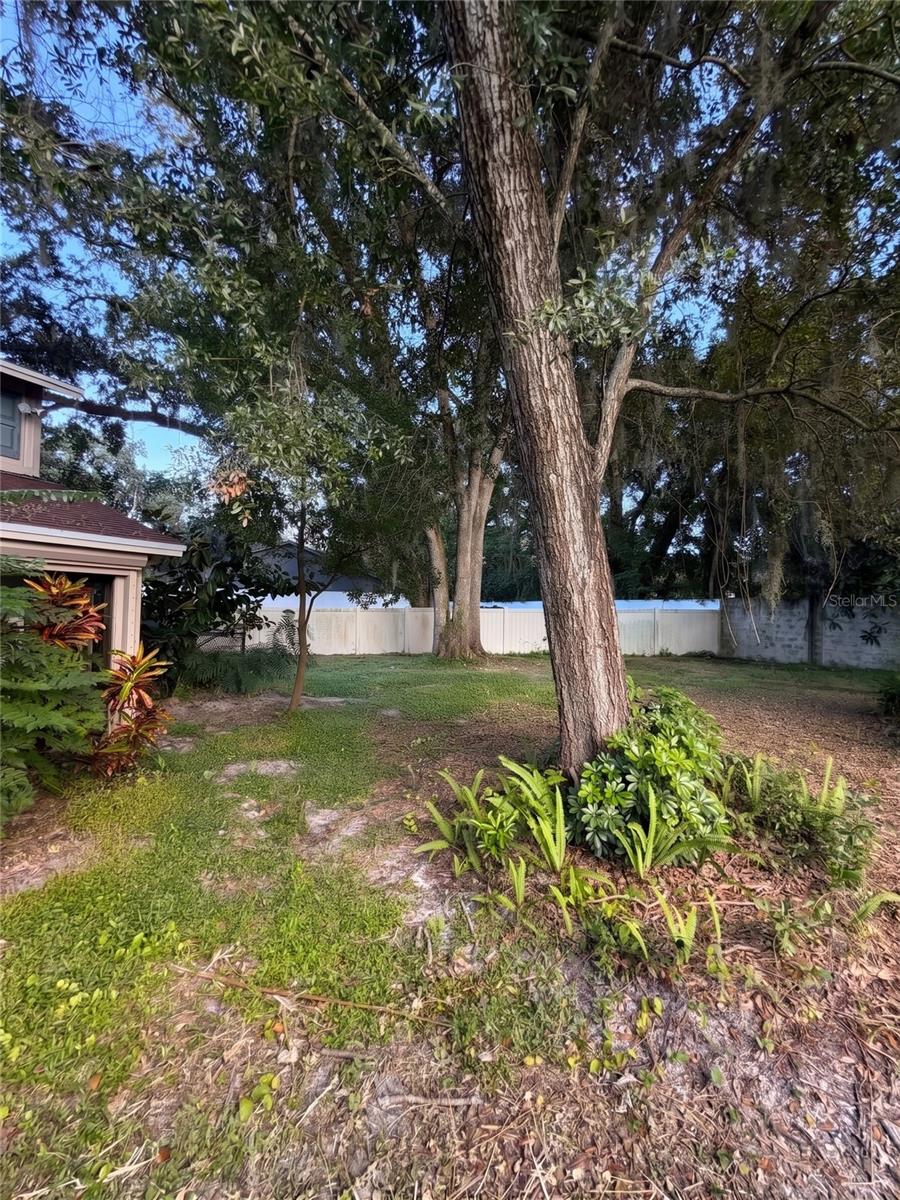 14714 OAK VINE DR — photo 44