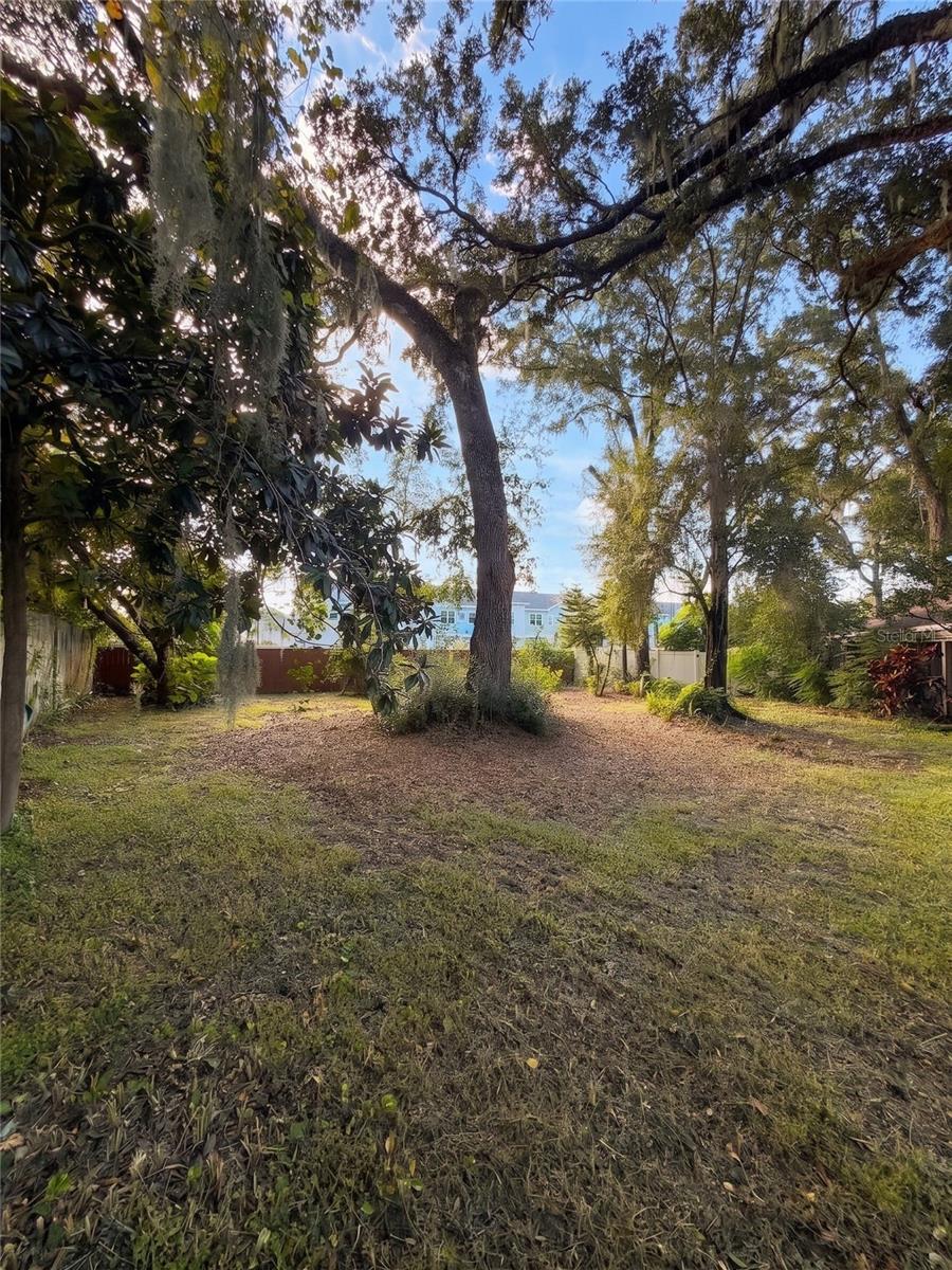 14714 OAK VINE DR — photo 43