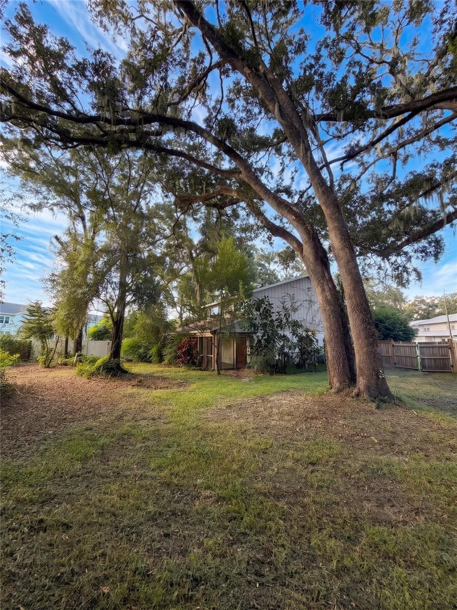 14714 OAK VINE DR — photo 42