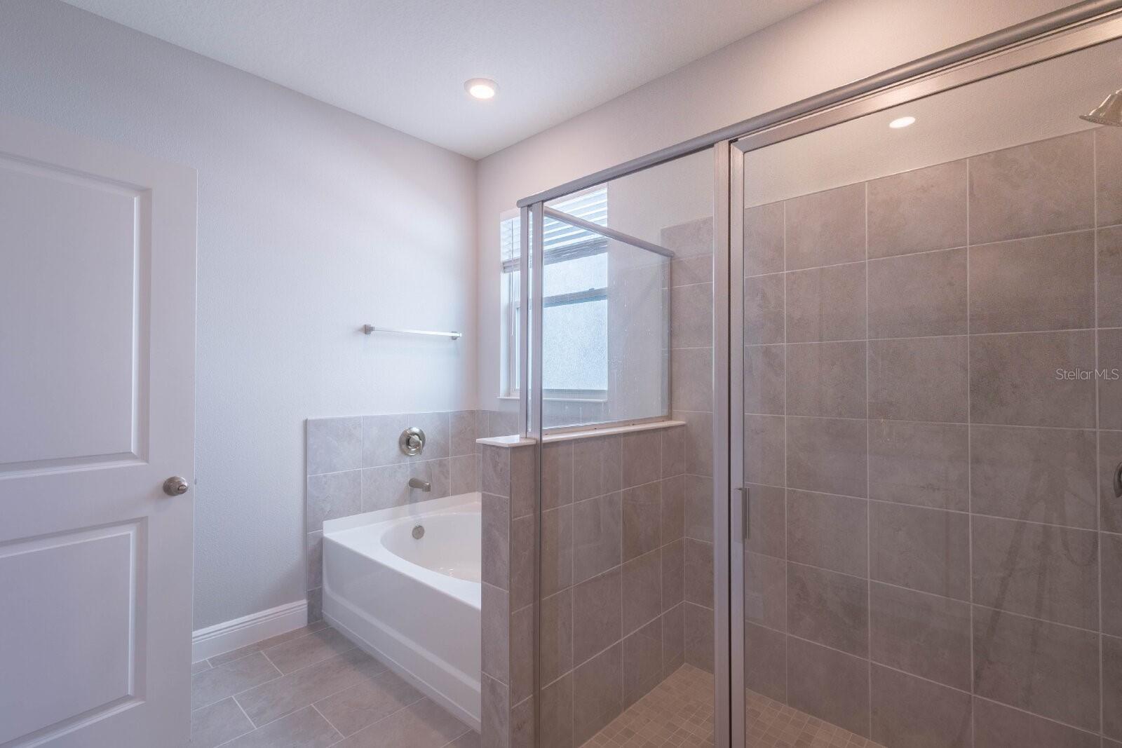 345 MANGROVE MANOR DR — photo 29