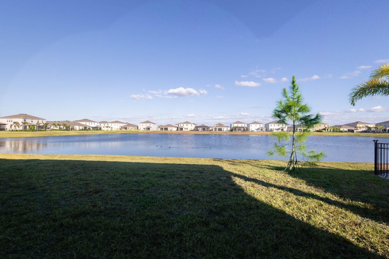 345 MANGROVE MANOR DR — photo 36