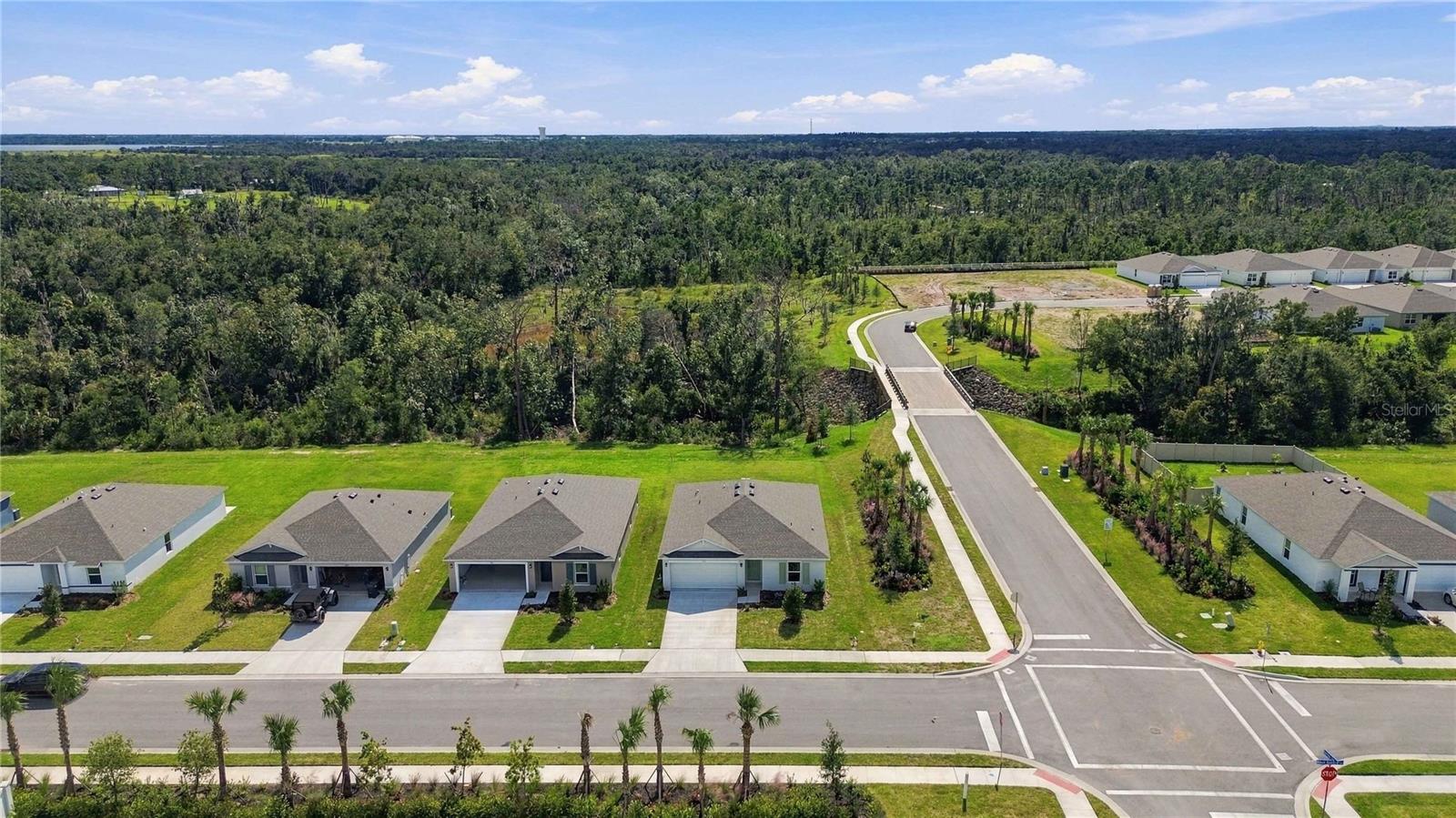 17939 WHEAT STACK CT — photo 41