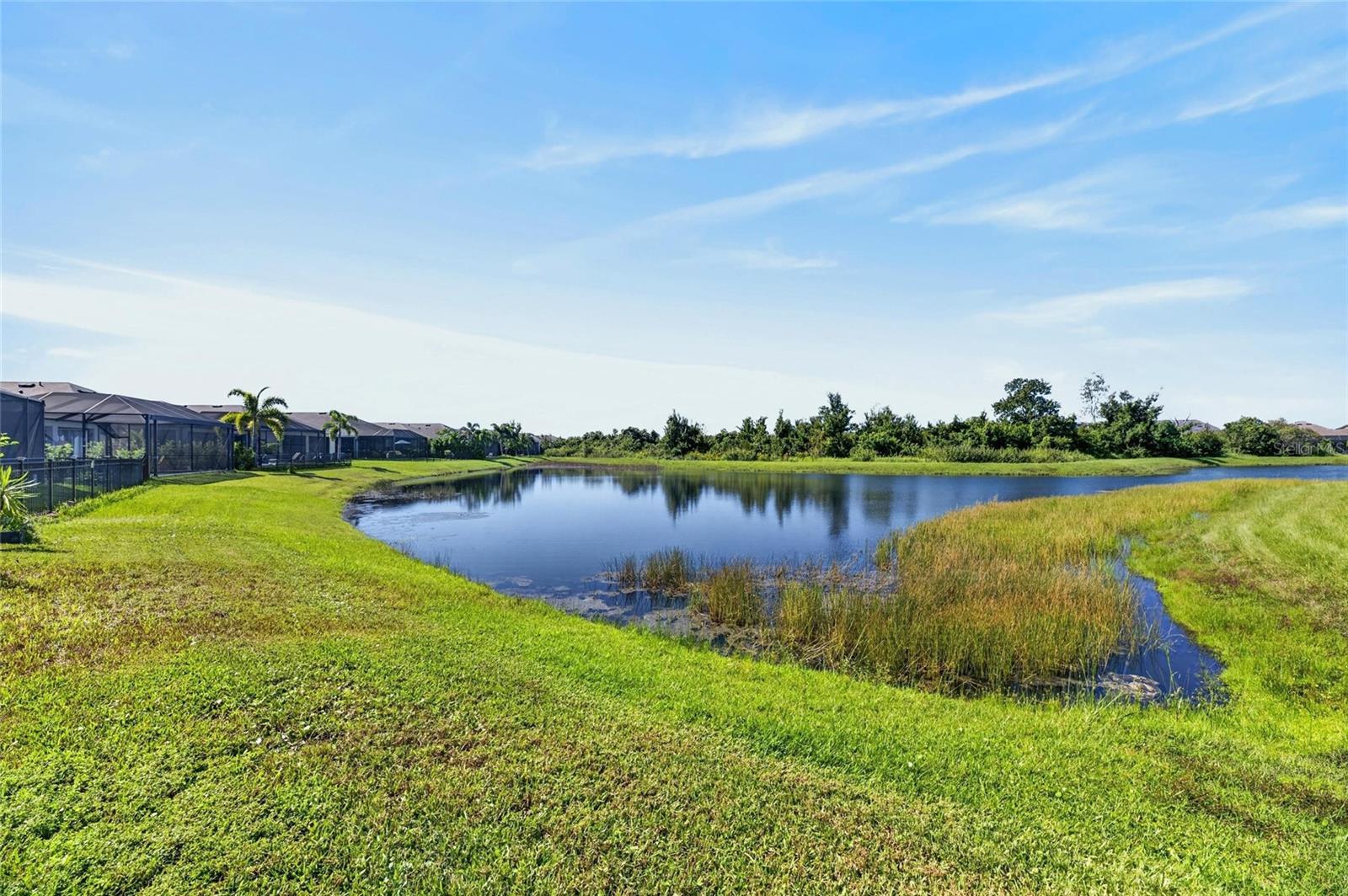 5527 SILVER SUN DR — photo 41