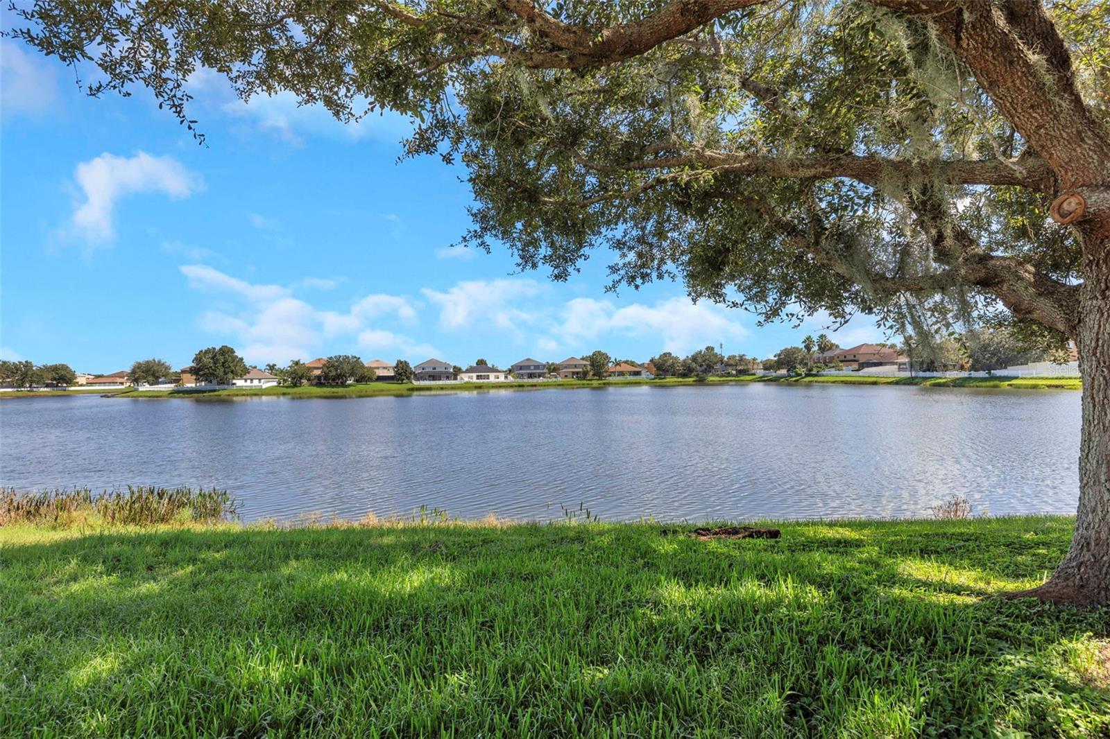 30913 BRIDGEGATE DR — photo 20