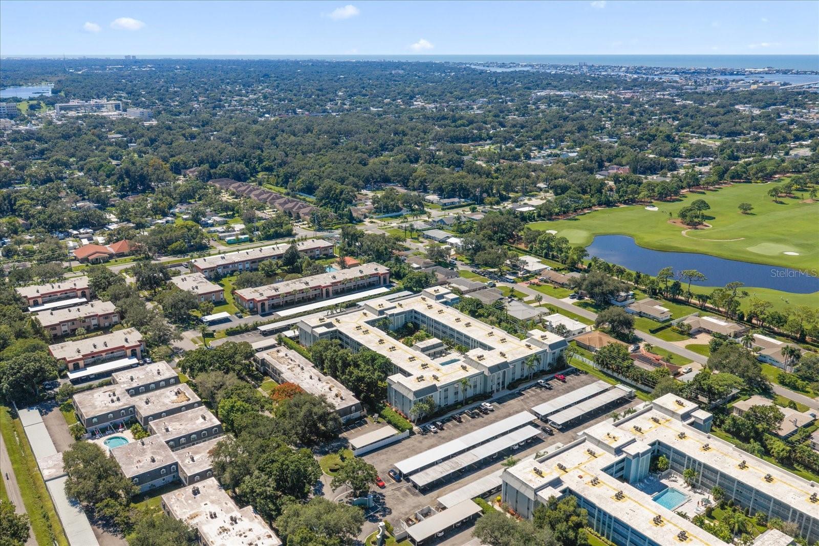 1706 BELLEAIR FOREST DR #238 — photo 42