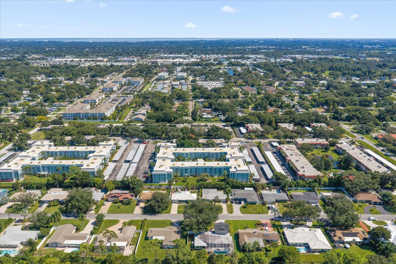 1706 BELLEAIR FOREST DR #238 — photo 43
