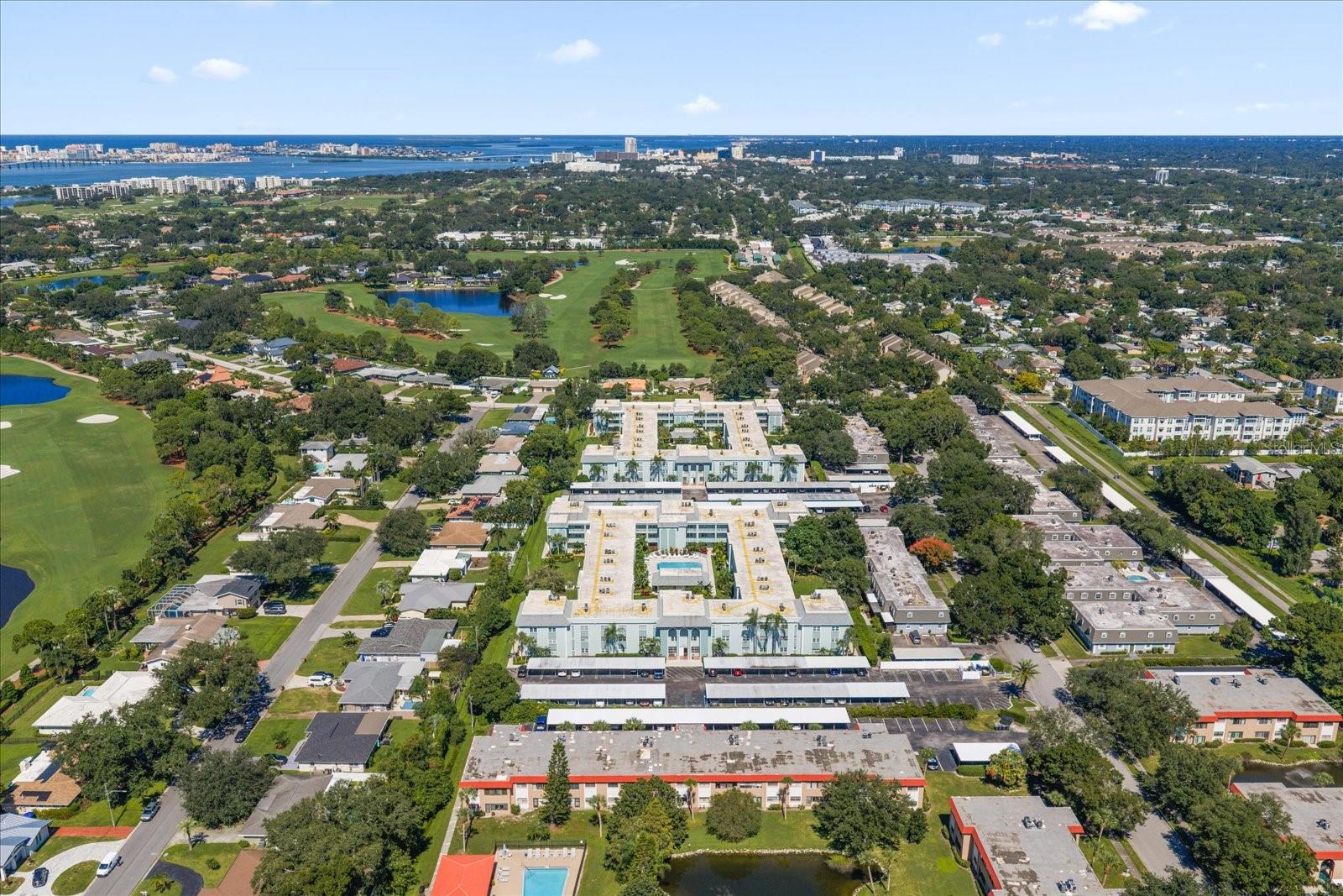1706 BELLEAIR FOREST DR #238 — photo 41