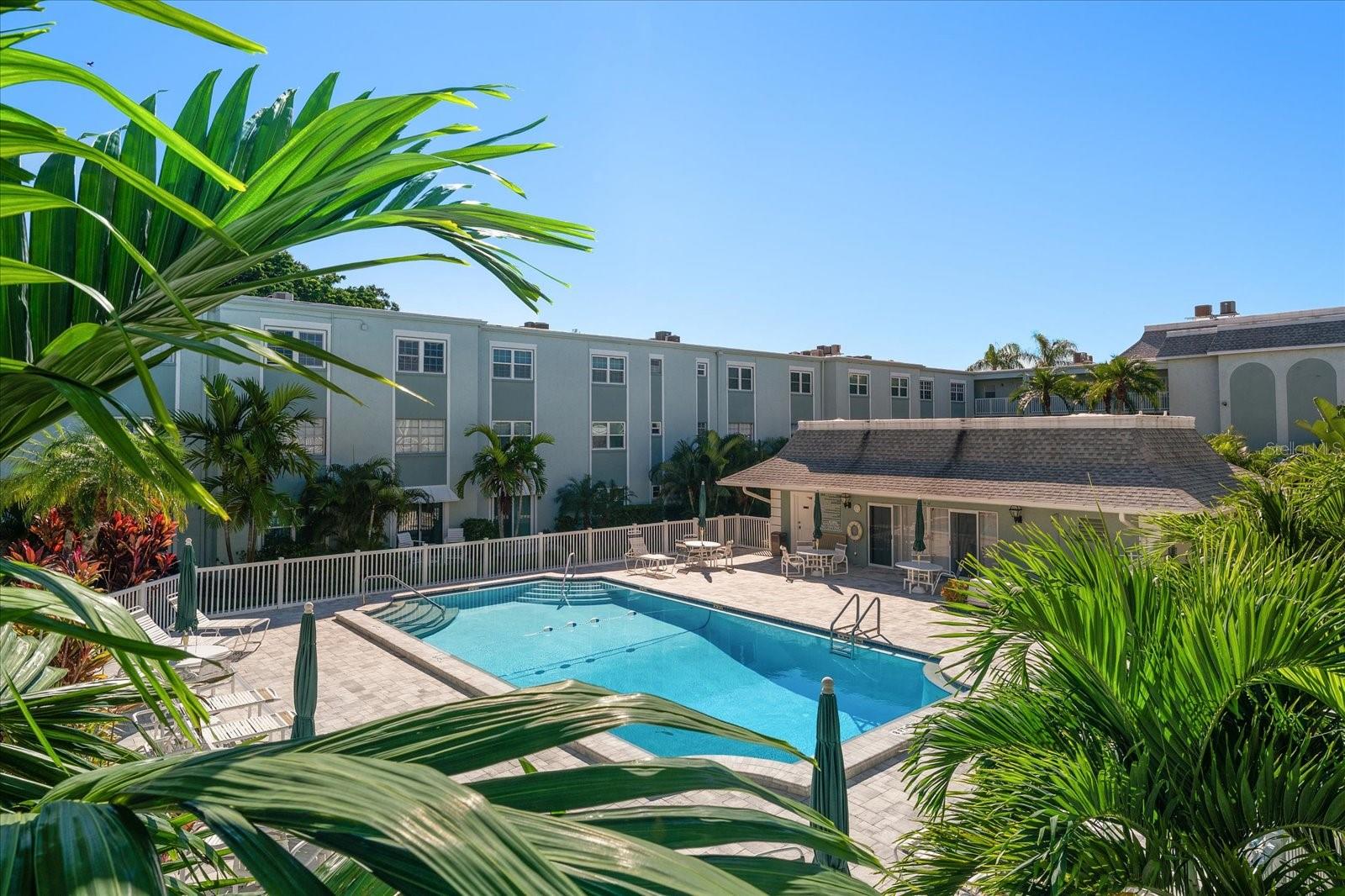 1706 BELLEAIR FOREST DR #238 — photo 4