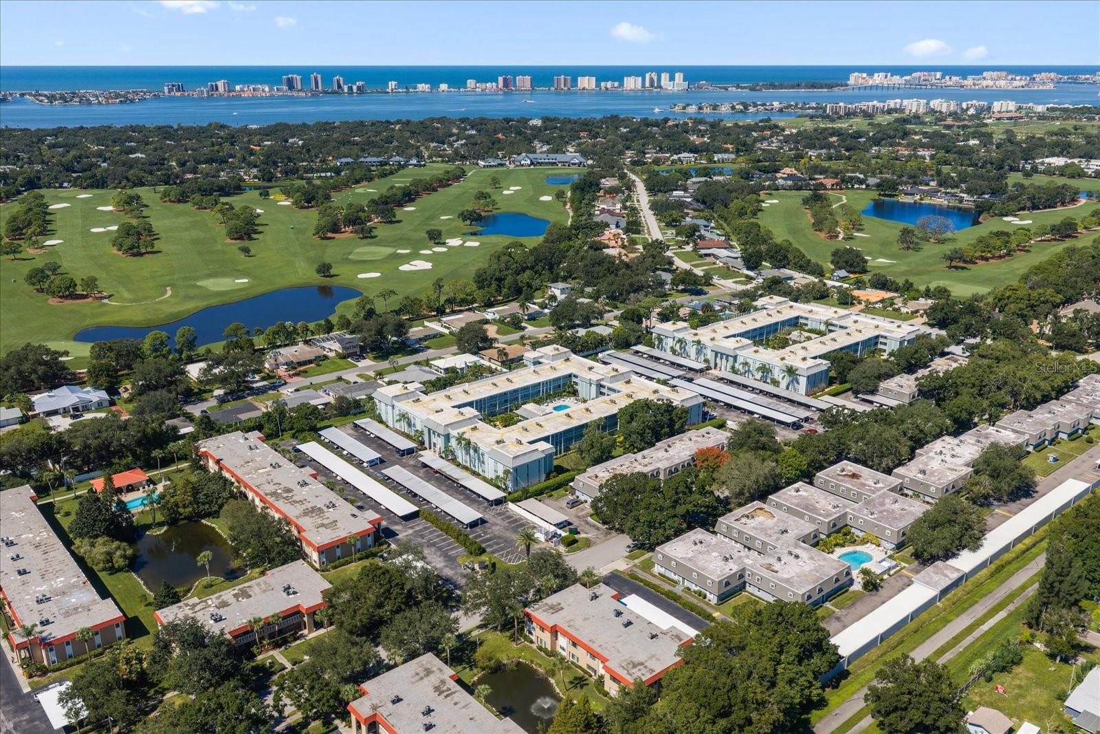 1706 BELLEAIR FOREST DR #238 — photo 45