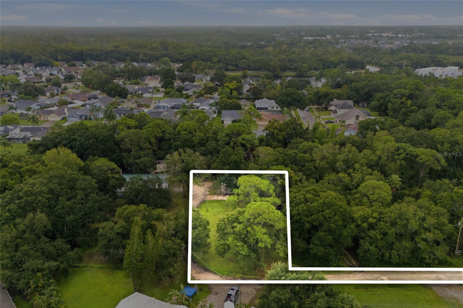 12319 MEMORIAL HWY — photo 40
