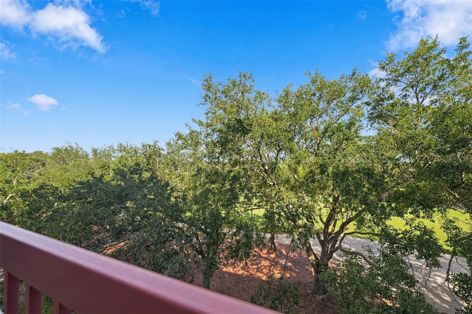2333 FEATHER SOUND DR #A401 — photo 31