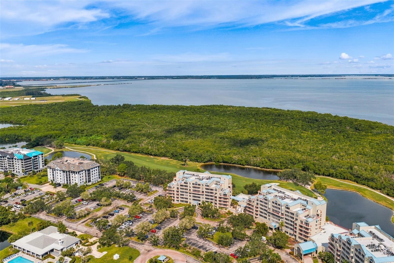 2333 FEATHER SOUND DR #A401 — photo 40