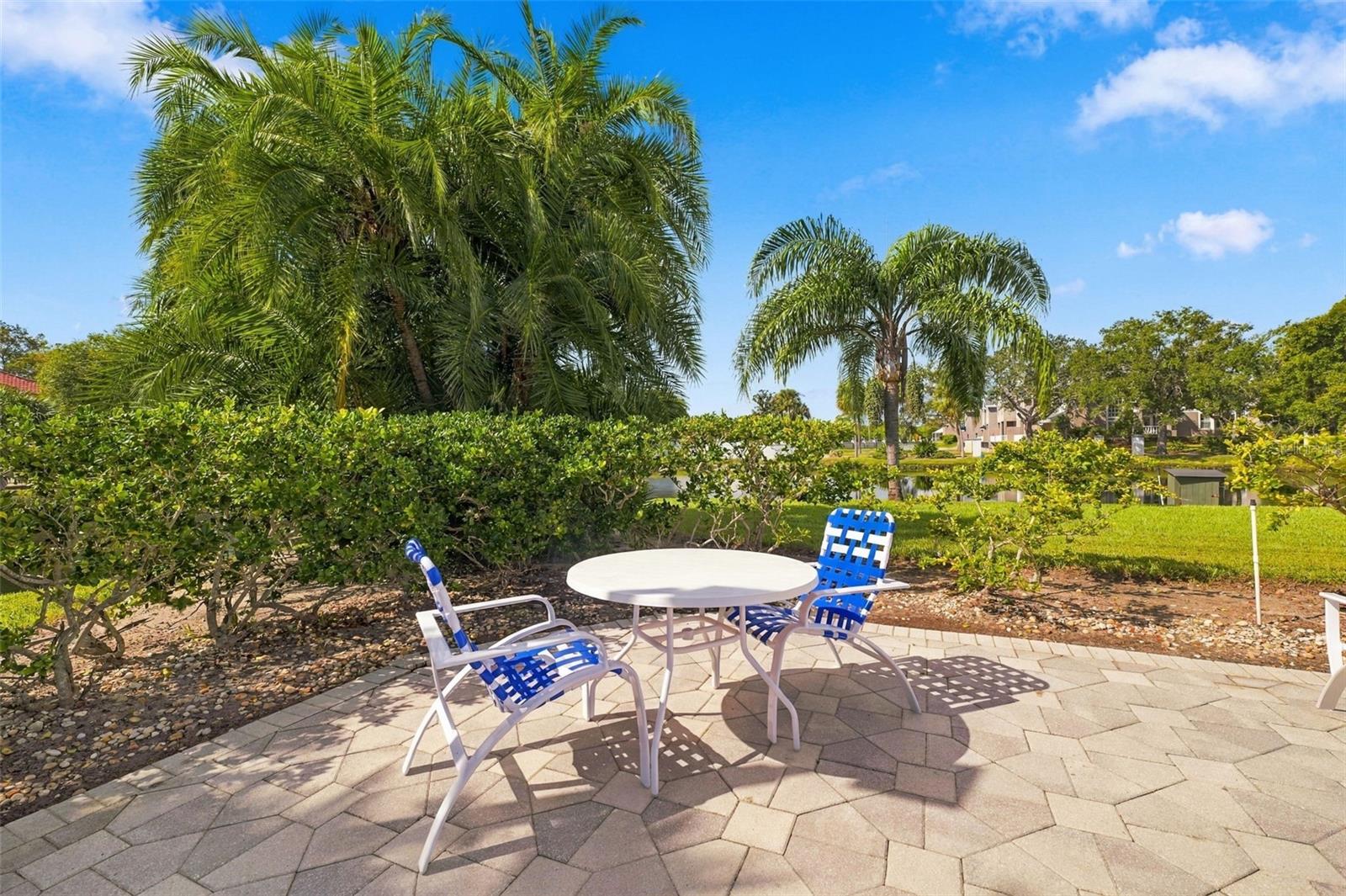 2333 FEATHER SOUND DR #A401 — photo 48