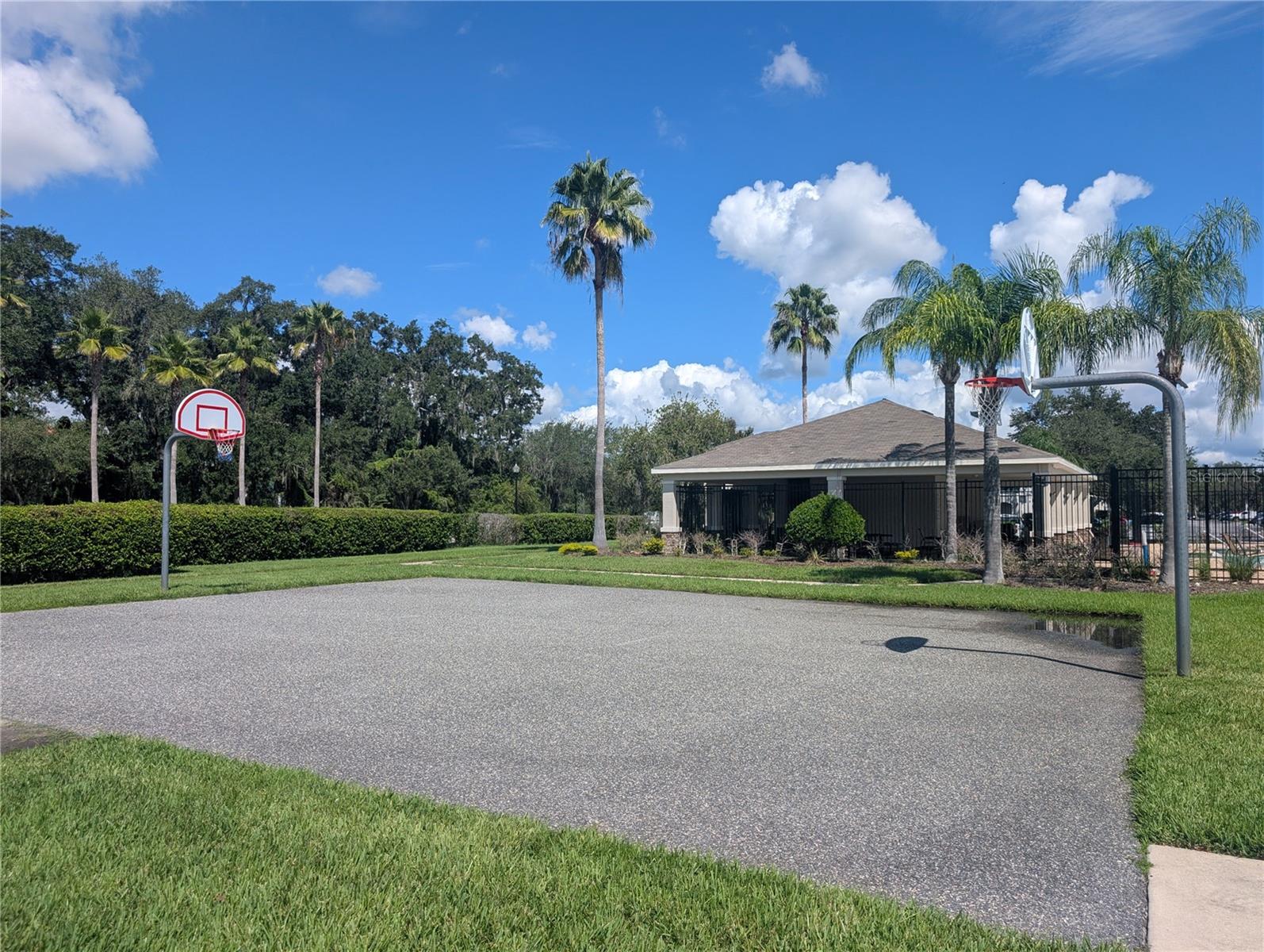 803 ASHENTREE DR — photo 19