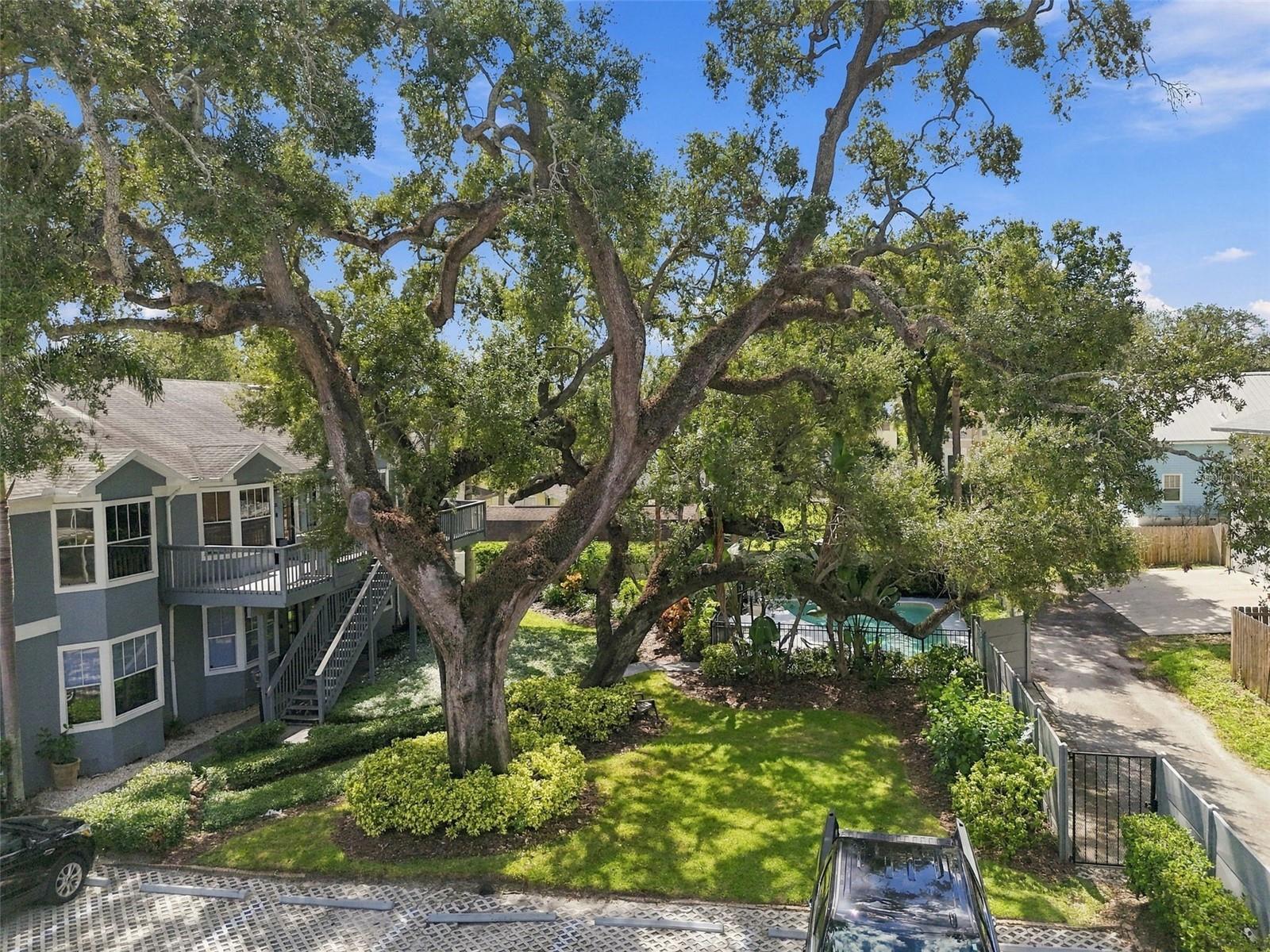 315 S EDISON AVE #8 — photo 37