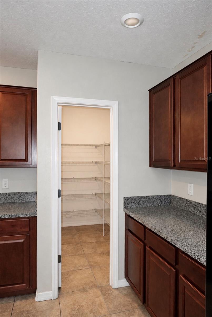 10213 BOGGY MOSS DR — photo 17