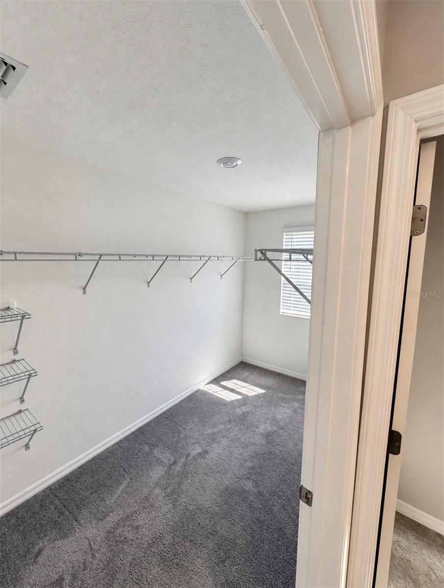 10213 BOGGY MOSS DR — photo 24