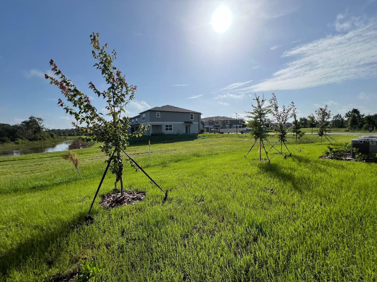 17765 COTTON NEST CT — photo 15