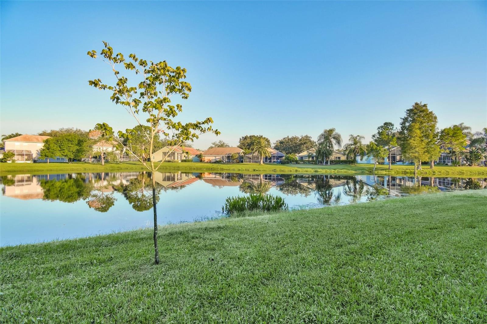 9909 BRIDGETON DR — photo 38