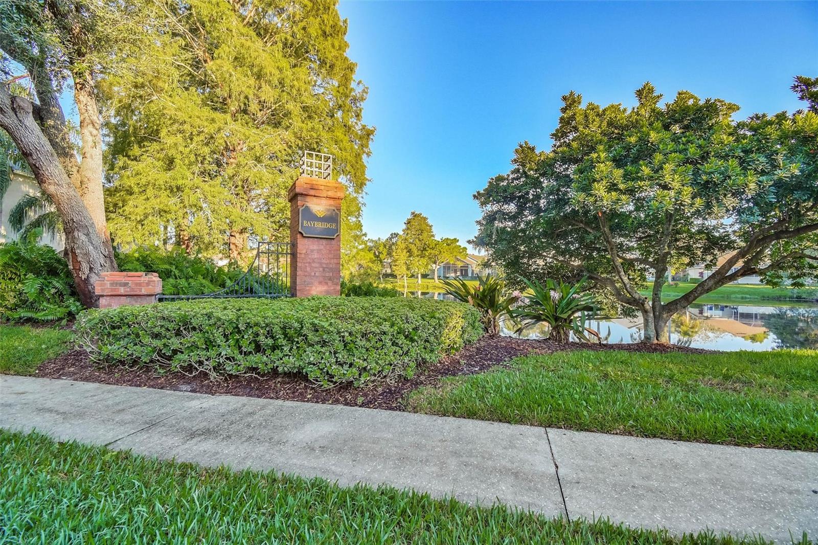 9909 BRIDGETON DR — photo 43