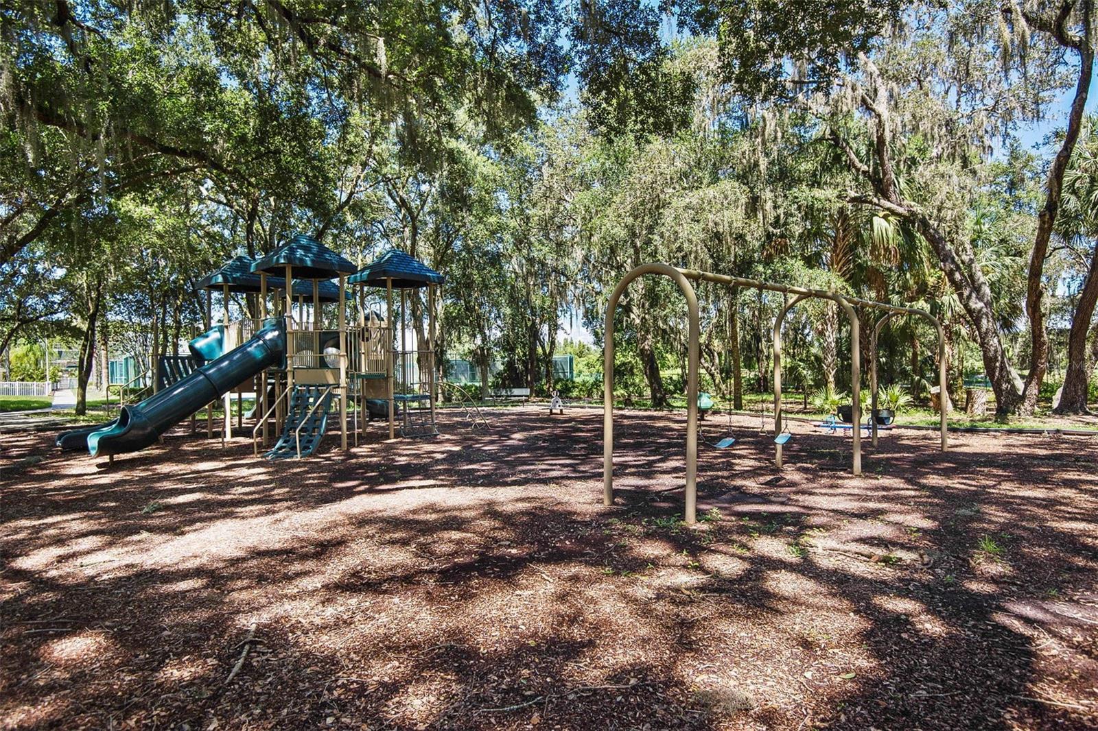 18110 TURTLE BEACH WAY — photo 79