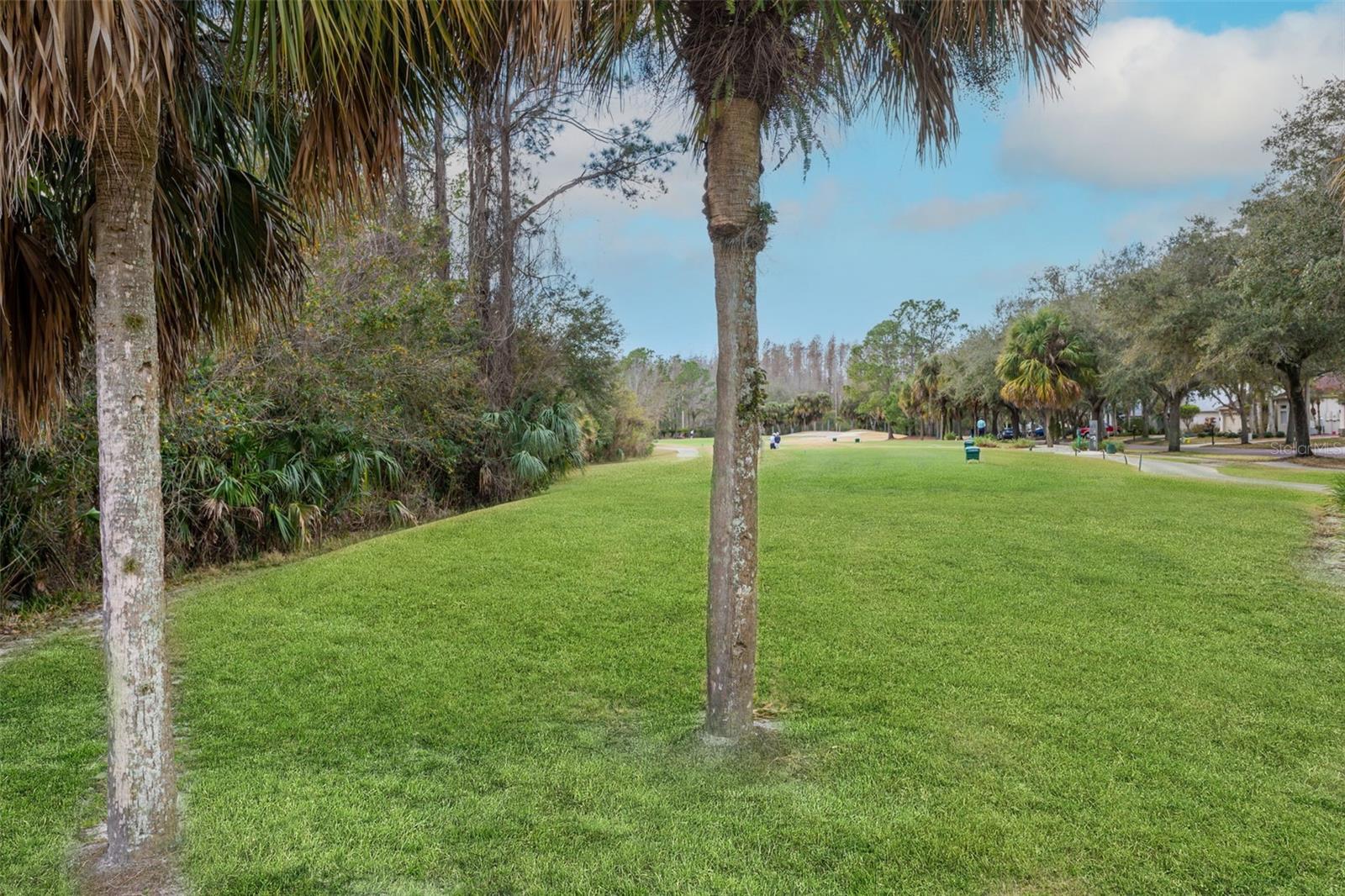 18110 TURTLE BEACH WAY — photo 45