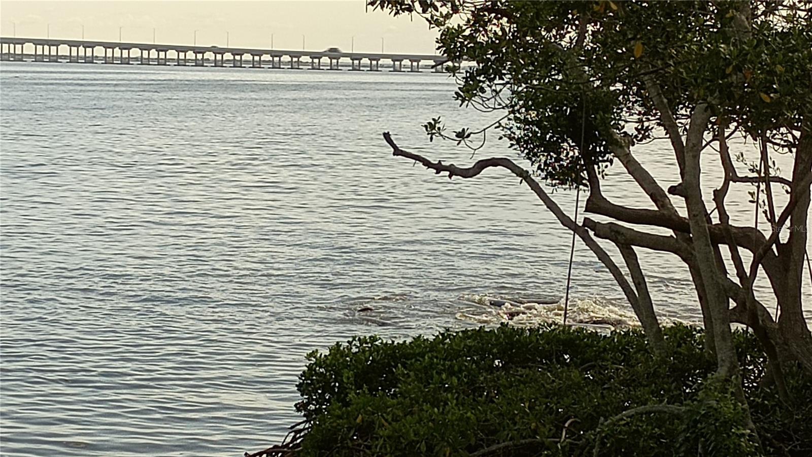 2980 HAINES BAYSHORE RD #105 — photo 79