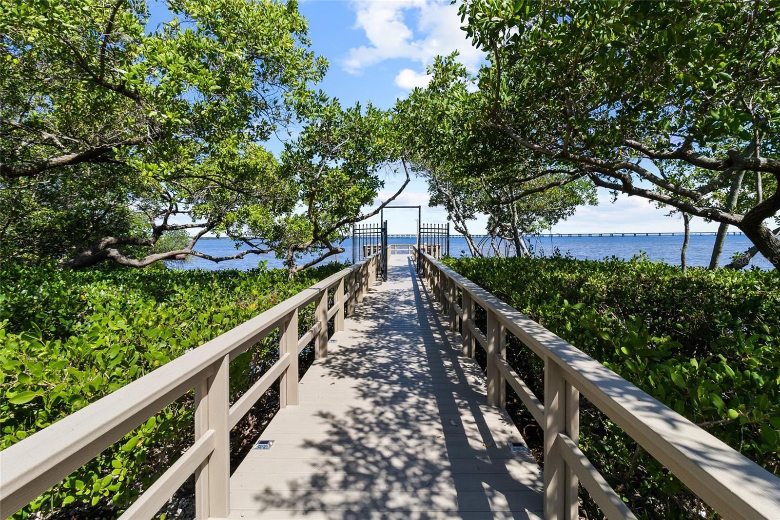2980 HAINES BAYSHORE RD #105 — photo 70