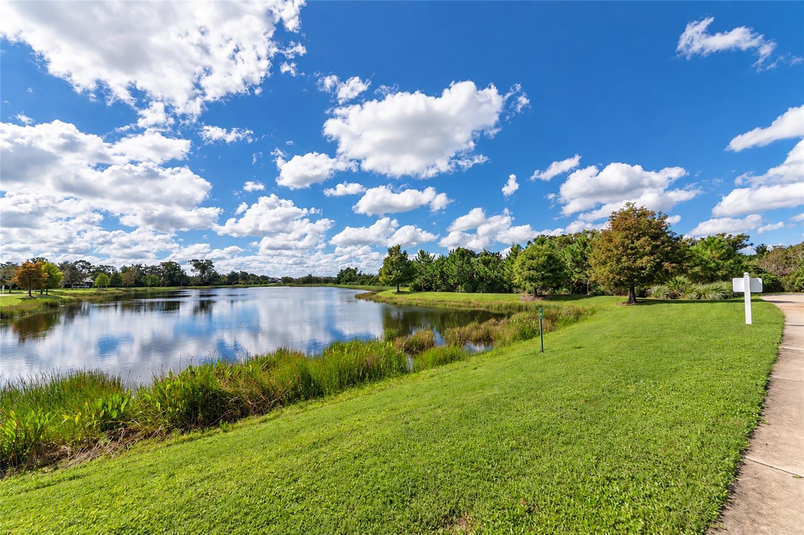 12121 TRAILHEAD DR — photo 31